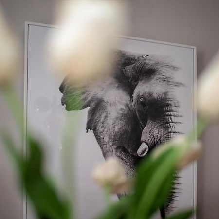 Apartment Aloha トレビニエ エクステリア 写真