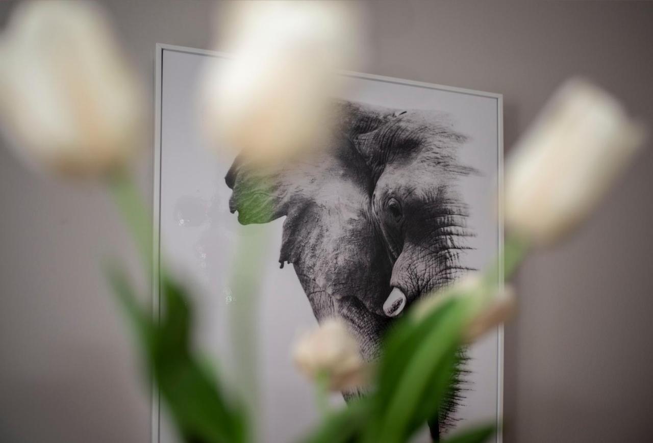 Apartment Aloha トレビニエ エクステリア 写真